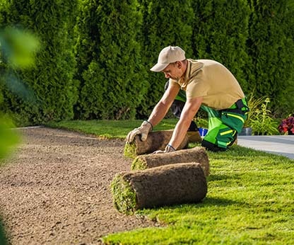 new_lawn_installation