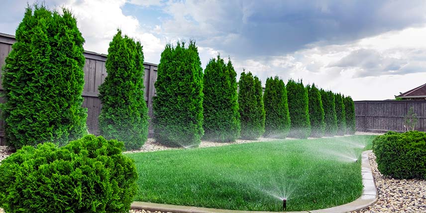 irrigation_and_sprinkler
