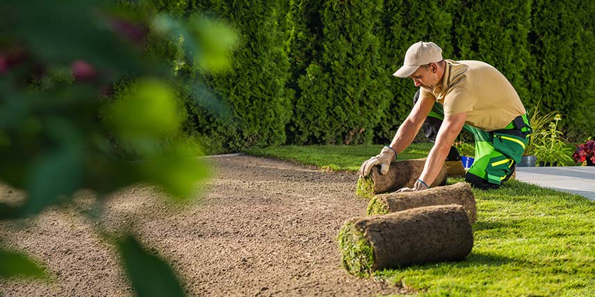 new_lawn_installation